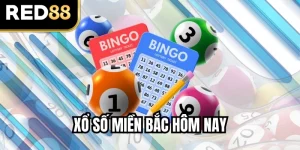 Xổ Số Miền Bắc Hôm Nay: Soi Cầu Chính Xác Tại RED88