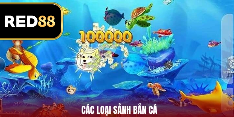 Các loại sảnh bắn cá tại nền tảng