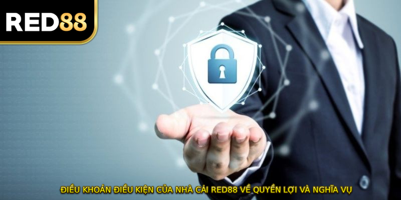 ĐIỀU KHOẢN ĐIỀU KIỆN của nhà cái RED88 về quyền lợi và nghĩa vụ