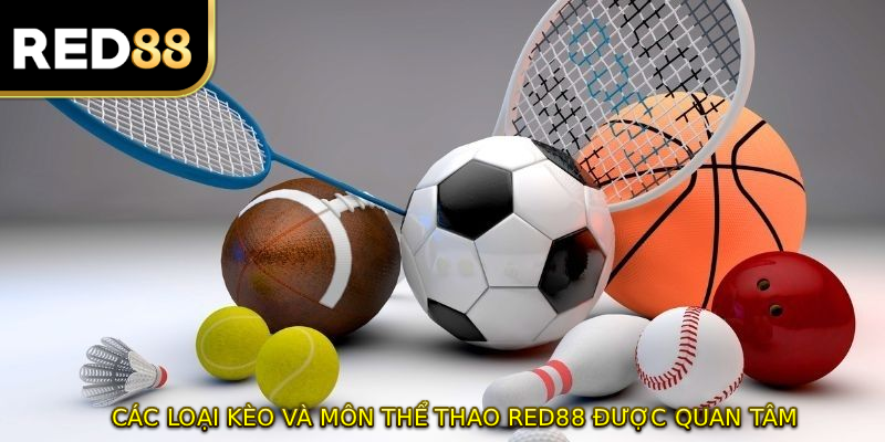 Các loại kèo và môn THỂ THAO RED88 được quan tâm